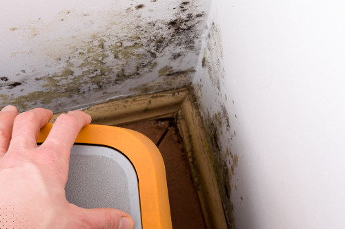 When To Walk Away After The Home Inspection: Red Flags You Can’t Ignore? When To Walk Away After The Home Inspection: Red Flags You Can’t Ignore?